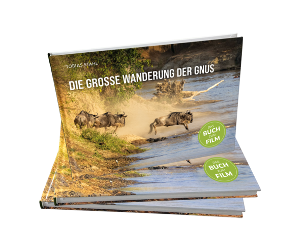 Das Foto-Buch von Tobias Stahl: Die große Wanderung der Gnus